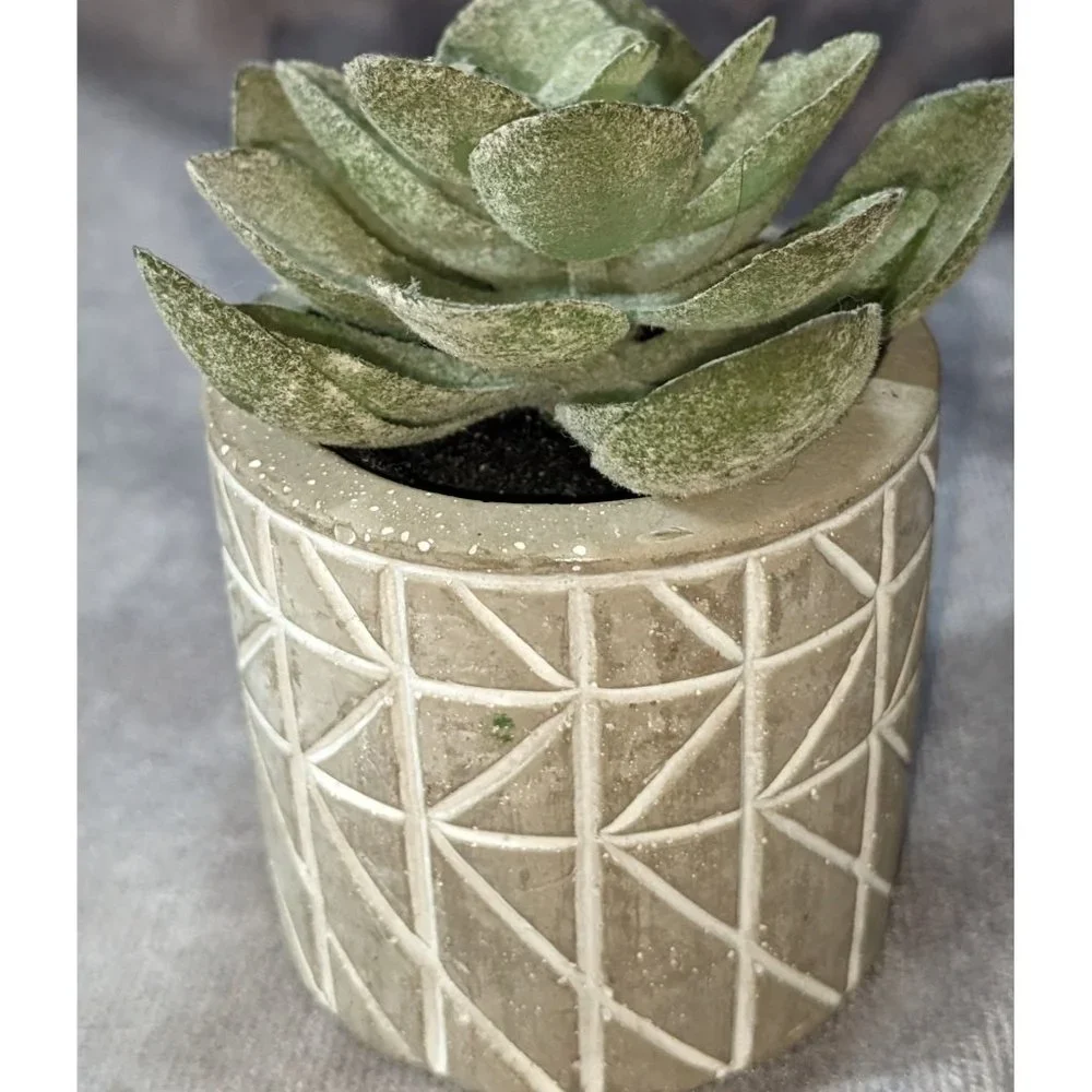 Artificial Succulent